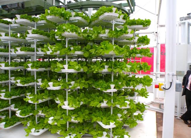 Vertical farming