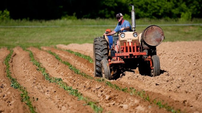 multiple-cropping-in-agriculture-assignment-point