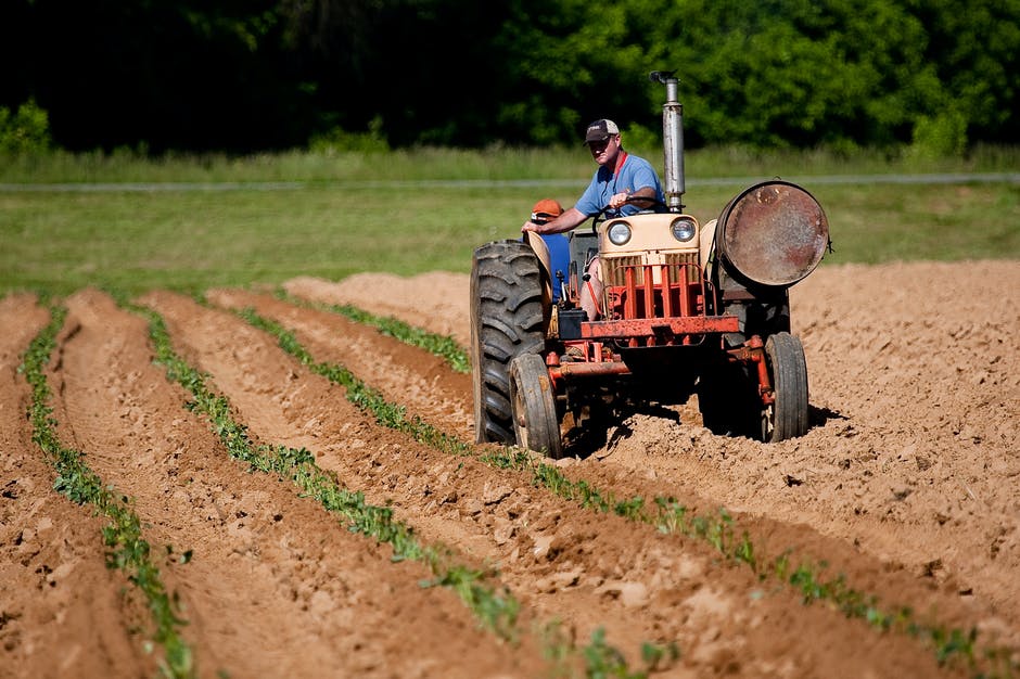 advantages-and-disadvantages-of-continuous-cropping-jitefarms