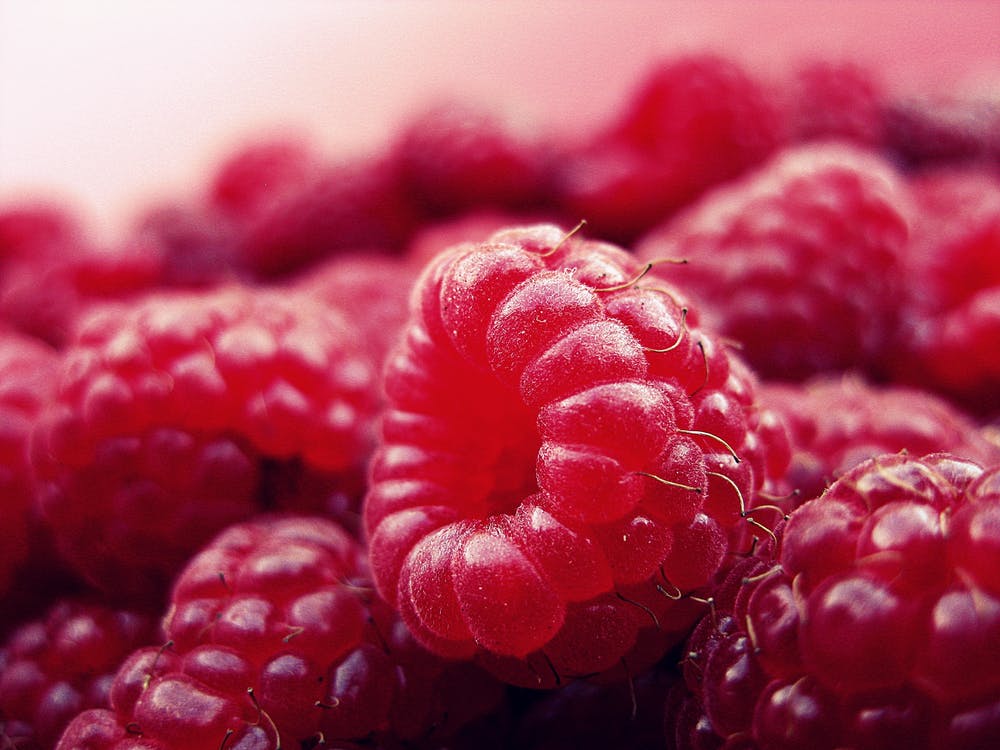 Raspberry fruit