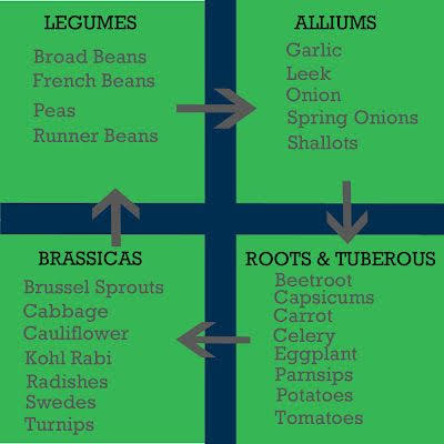 Crop rotation