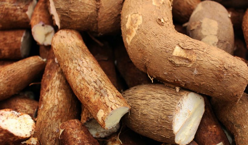cassava by products