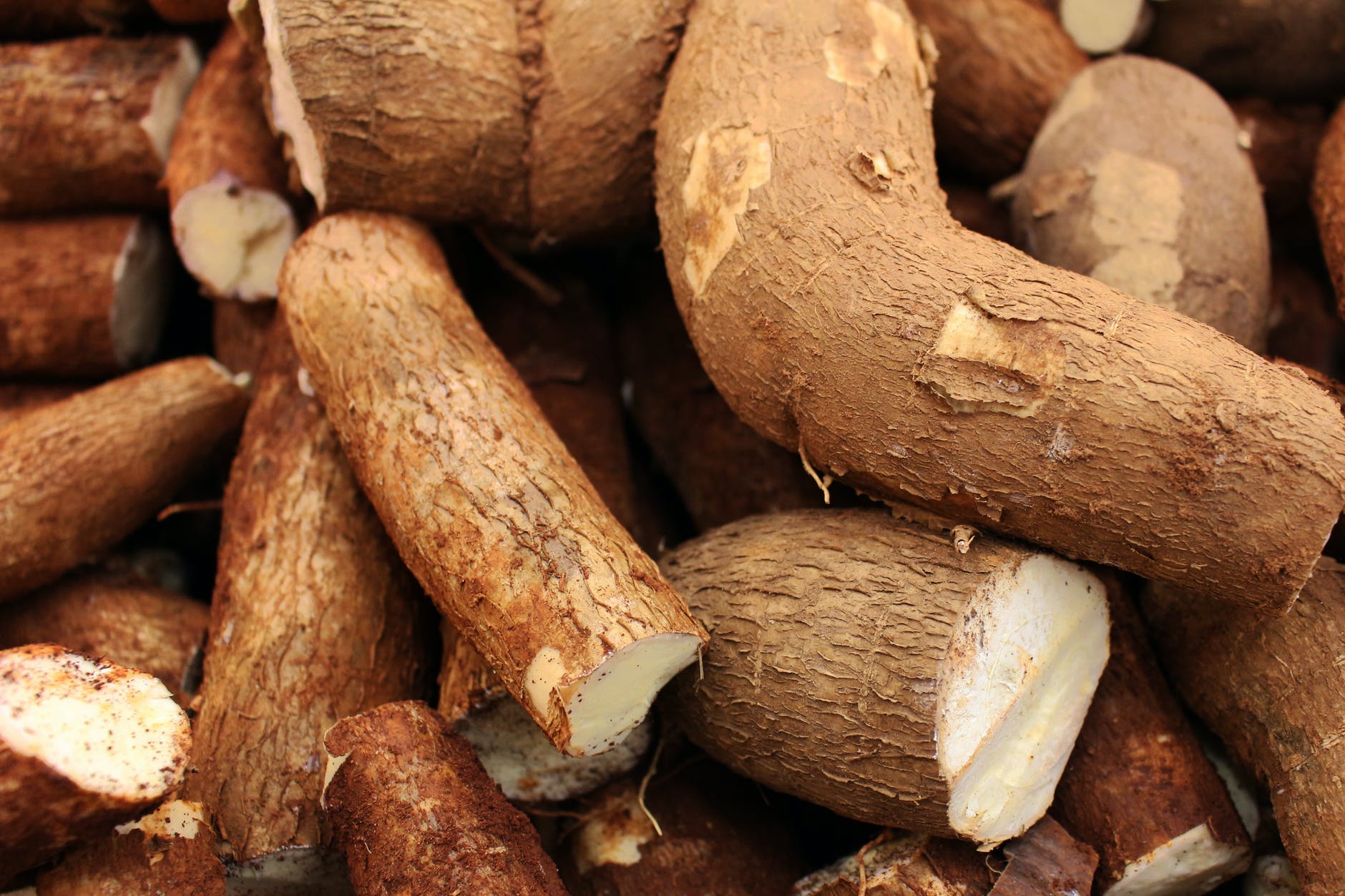 cassava by products