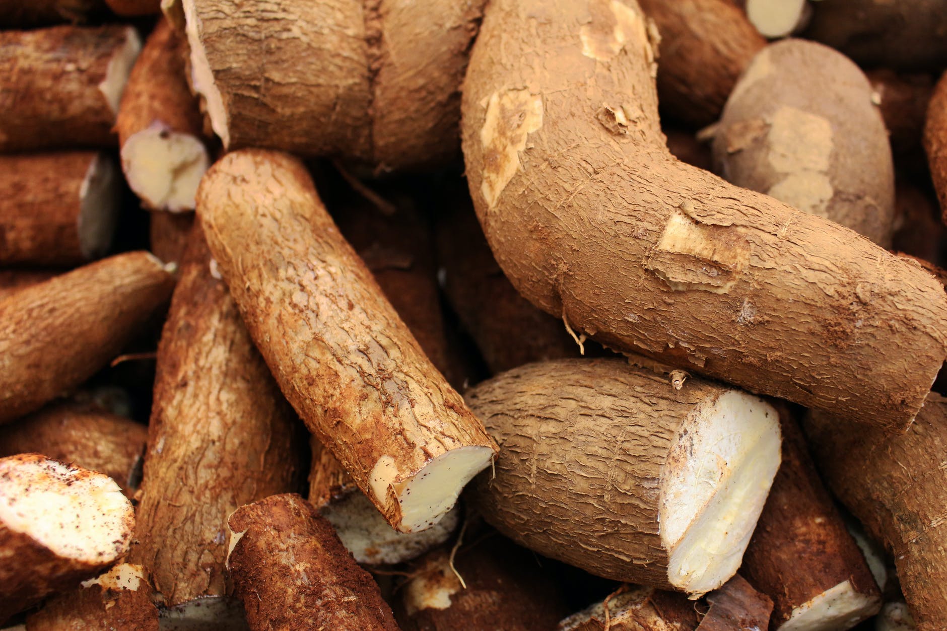 Cassava Products Products You Can Get From Cassava Plant Jitefarms