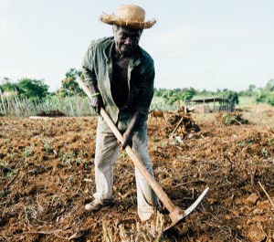 Farmer