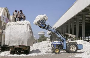 Agro-based industries