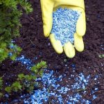 how to choose the right fertilizers