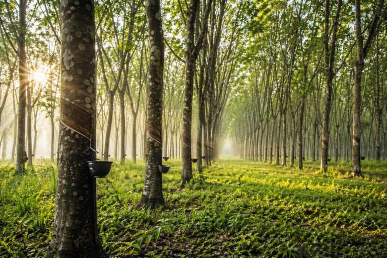 ChatGPT Image Apr 23, 2026, 02_18_16 AM