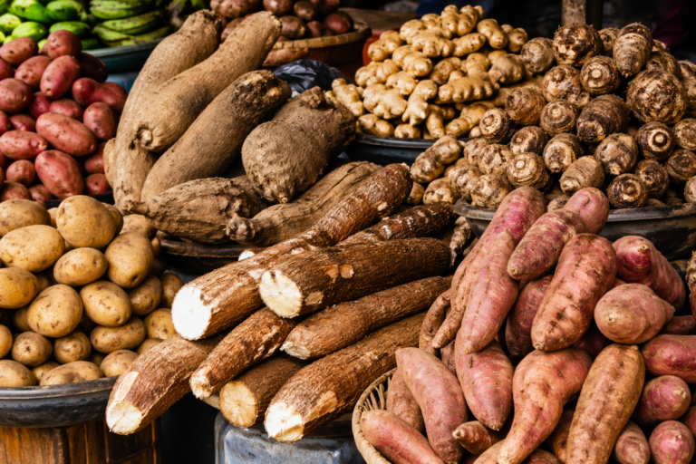 ChatGPT Image Apr 23, 2026, 02_22_10 AM