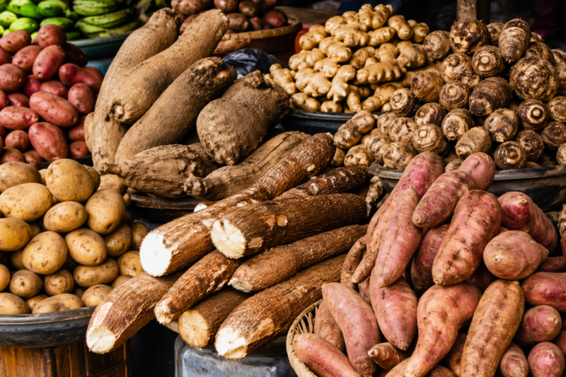 Root and Tuber Crops Examples
