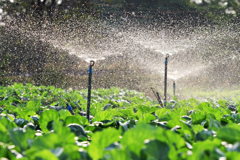 Irrigation systems in agriculture