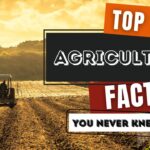 Agriculture Facts