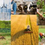 Agriculture Terms