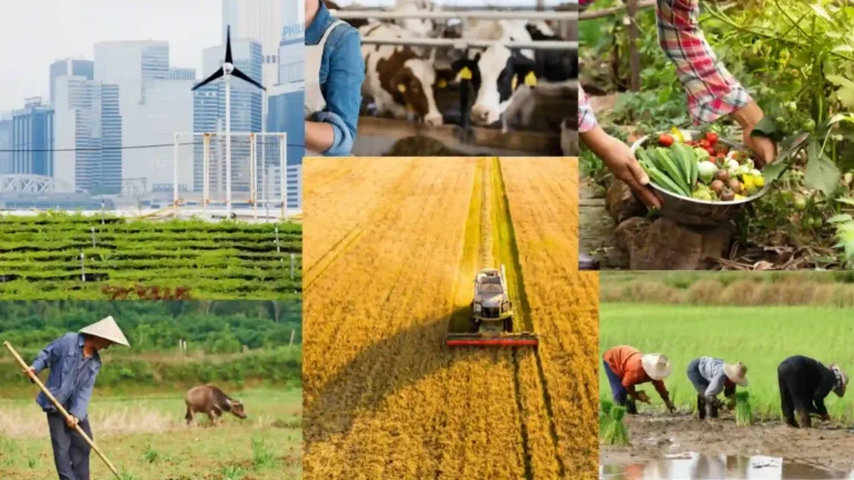 Agriculture Terms
