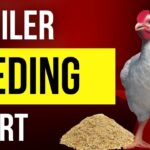 Broiler Feed Cost