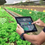 IoT in Agriculture