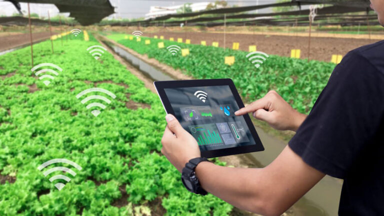 IoT in Agriculture