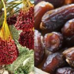 Nigerian fruits