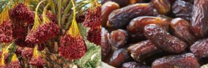 Nigerian fruits