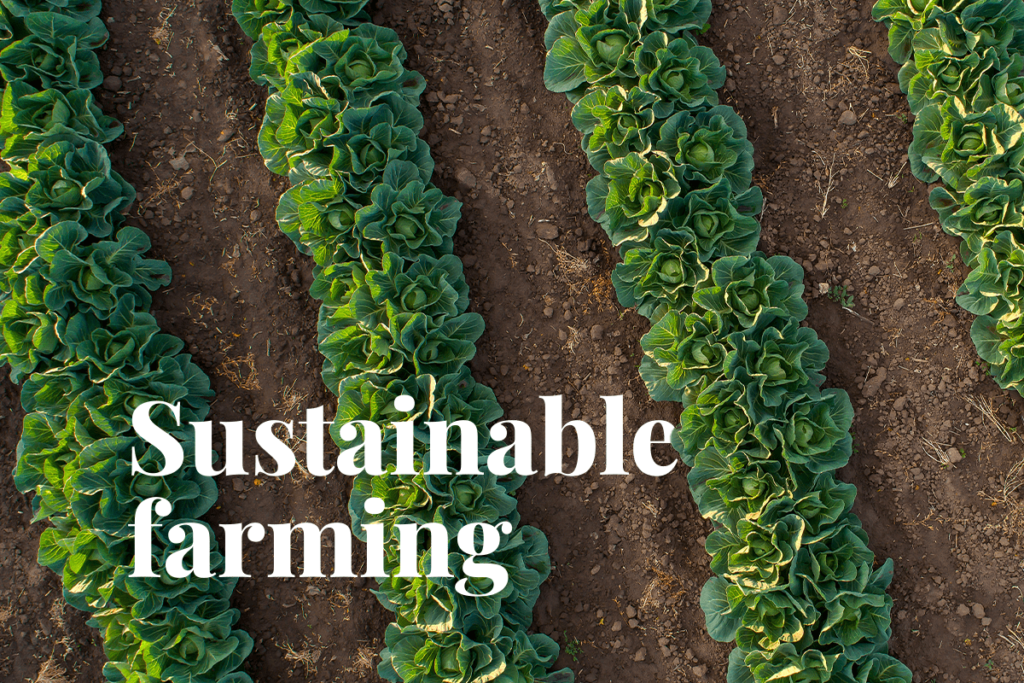 Sustainable farming