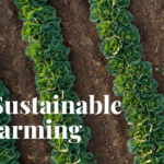 Sustainable farming